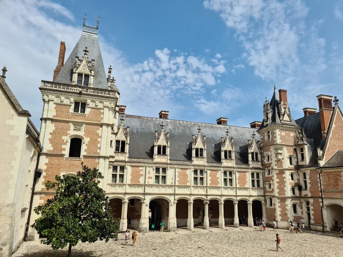Royal Castle of Blois