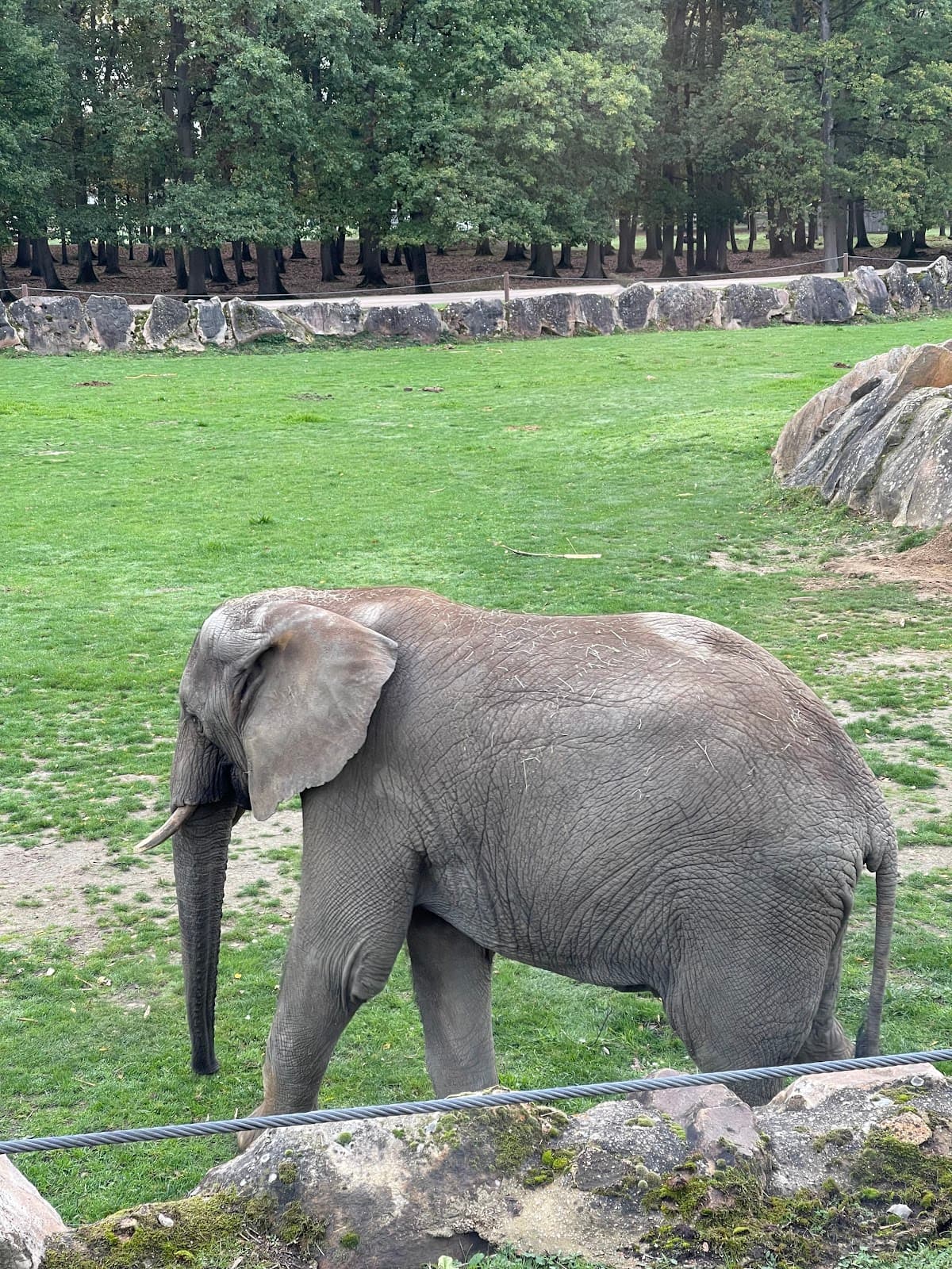 Safari Air Park