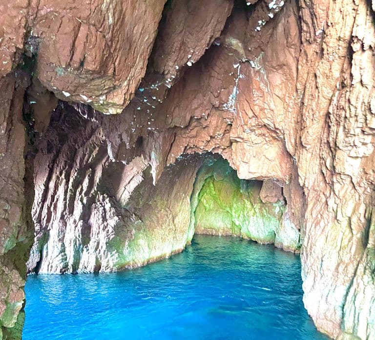 Sagone/Cargèse: Scandola, Piana, Girolata Cruise W/Swimming