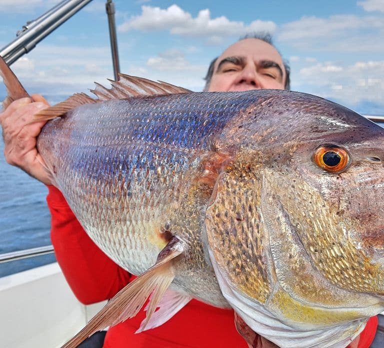 Saint-Laurent-du-Var: 4-Hour Fishing Trip