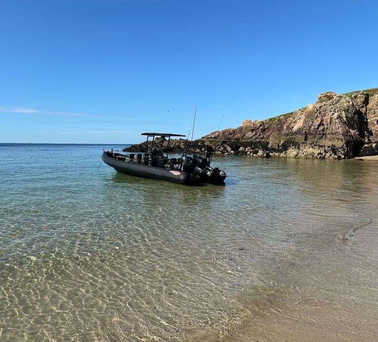 Gita in mare Golfe du Morbihan Arzon