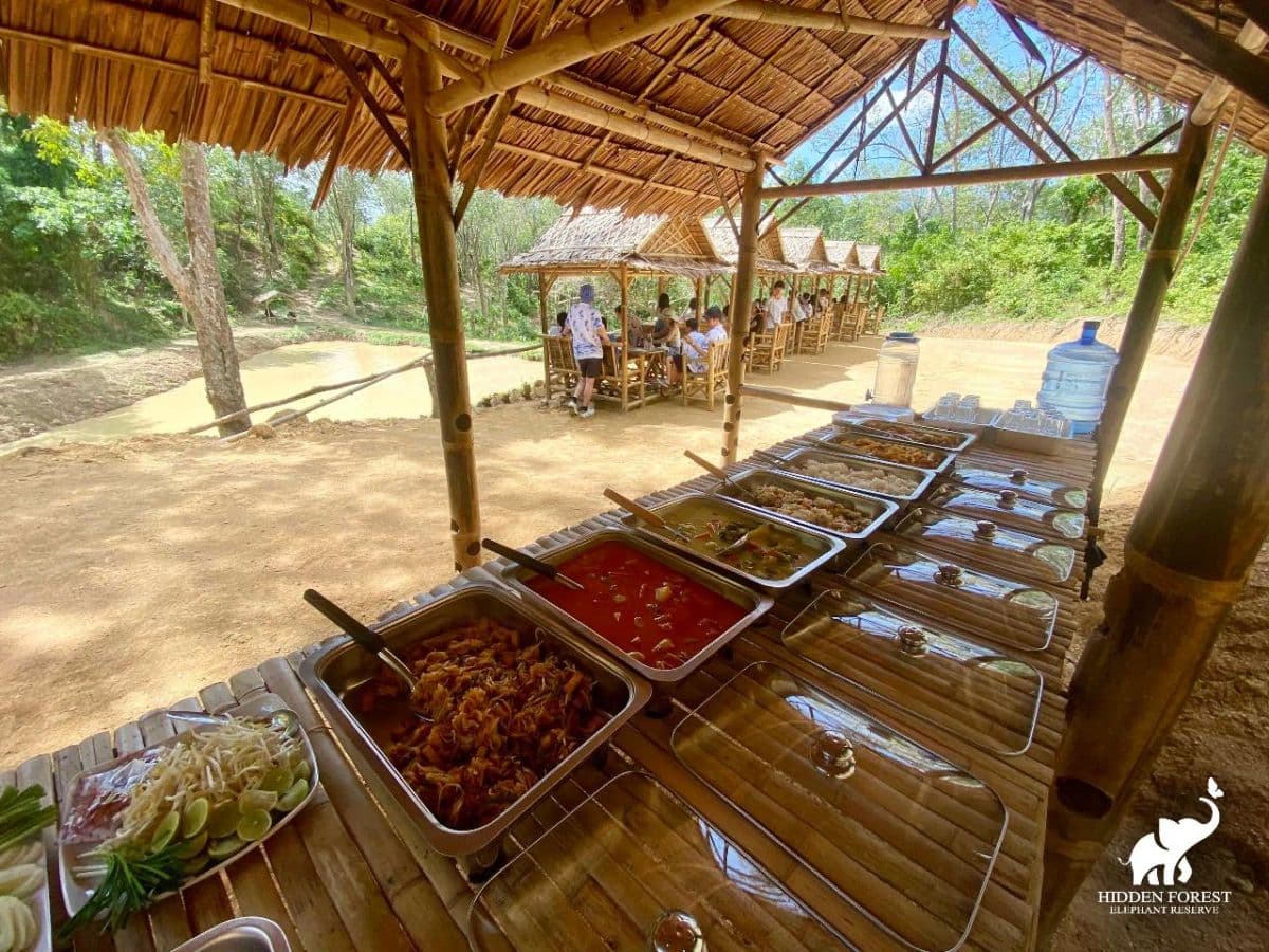 Hidden Forest Elephant Reserve con almuerzo y traslado - Sesión de mañana (incluye traslado de ida y vuelta en la isla de Phuket)
