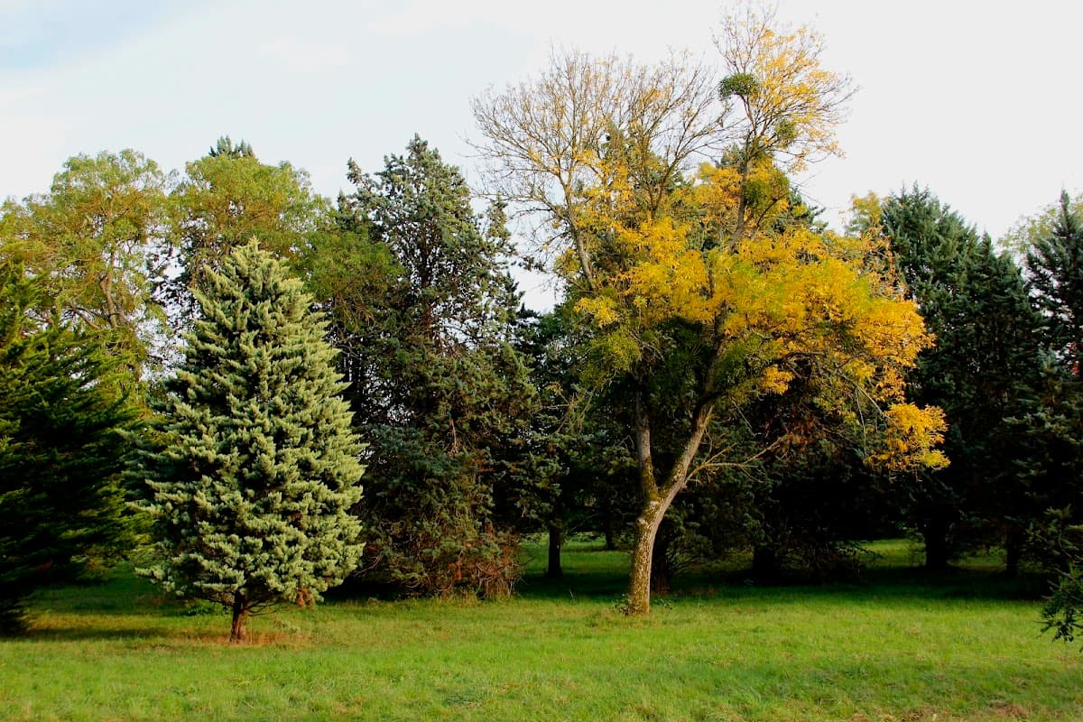 Versailles-Chèvreloup Arboretum