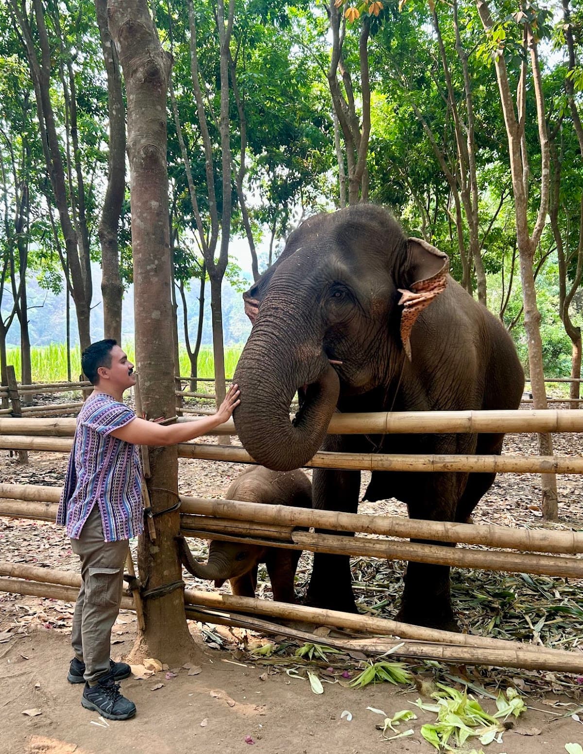 Hug Elephant Sanctuary Chiangmai