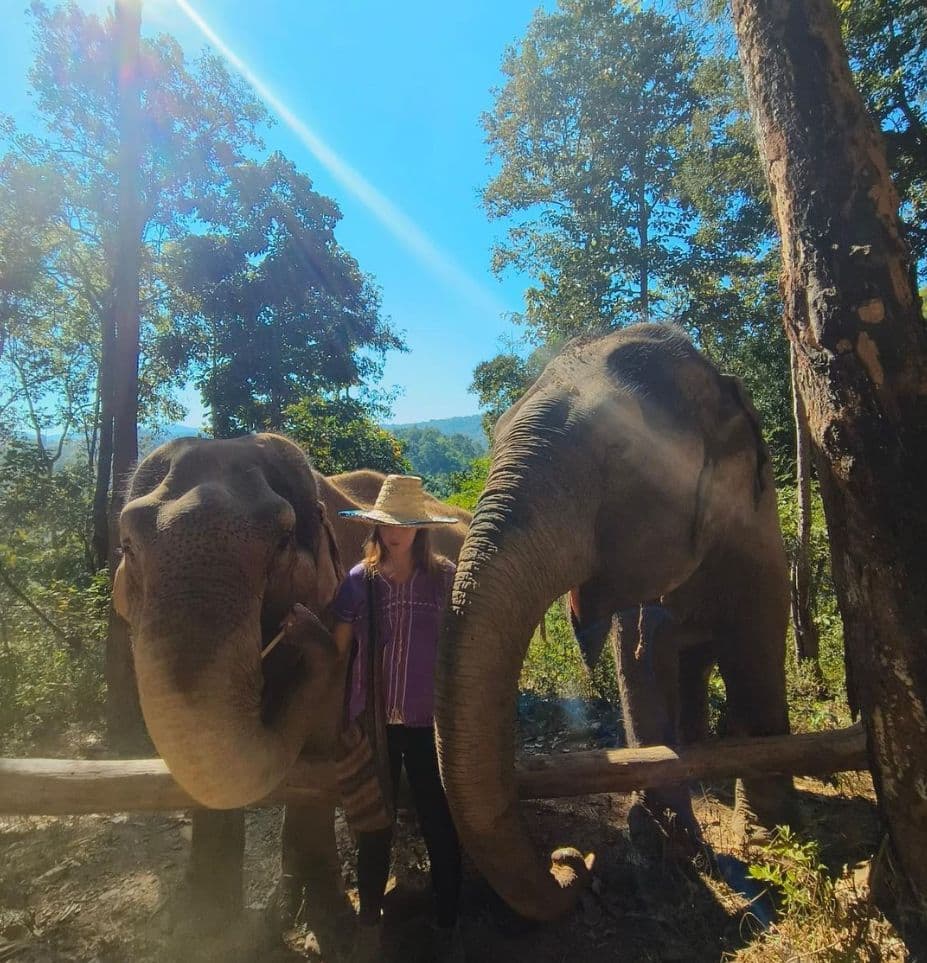 Hug Elephant Sanctuary Chiangmai