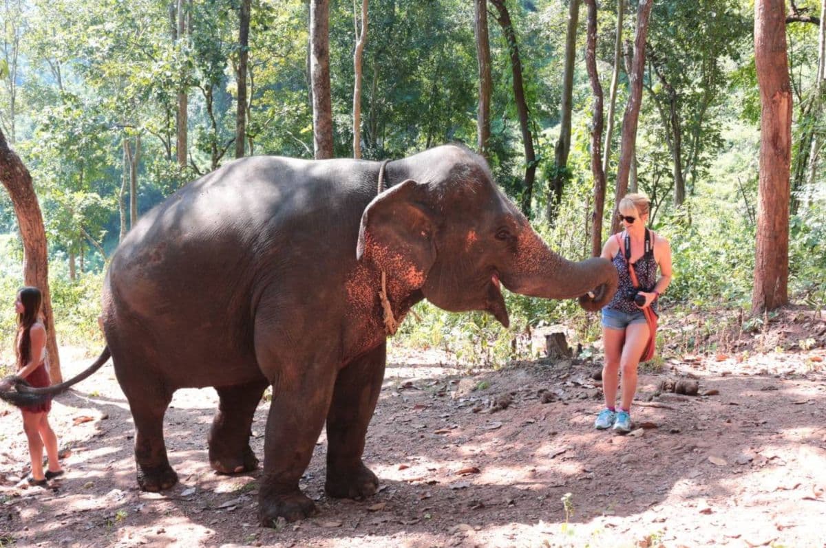 Hug Elephant Sanctuary Chiangmai