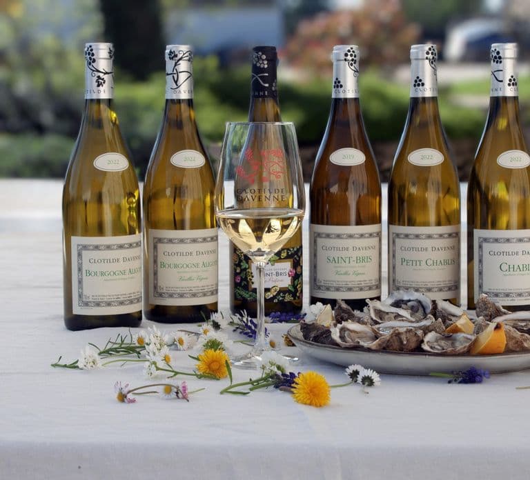 Degustazione di vini e ostriche a Chablis