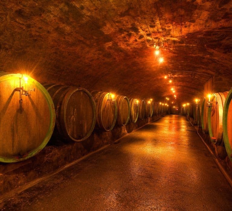 Trier, Moselle: Wine excursion with boat trip