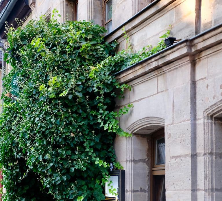 Fürth: Culinary and Historical Walking Tour