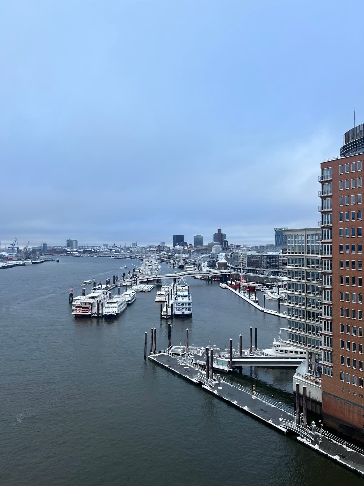 Hamburg: Elbphilharmonie Plaza Guided Tour