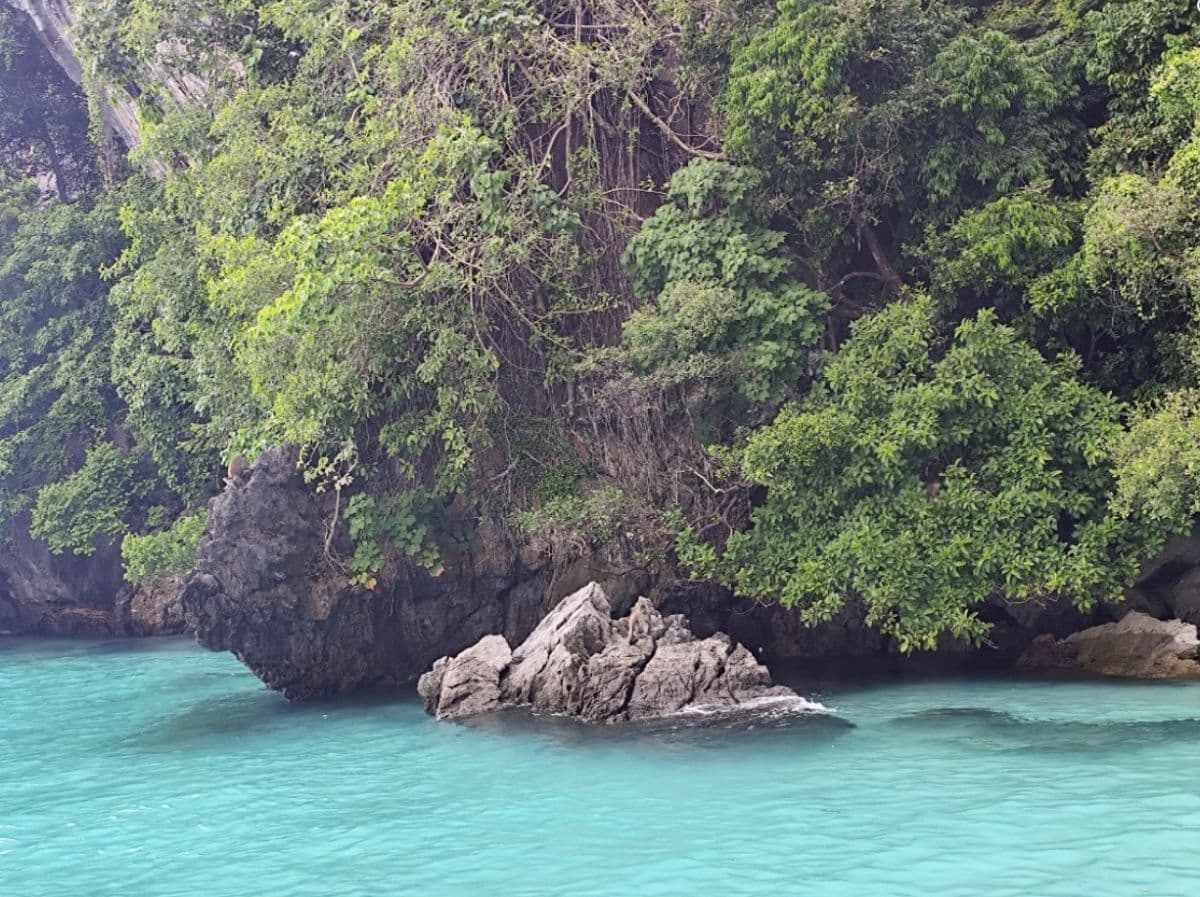 Join Tour Full Day Trip to Phi Phi Island - Maya Bay - Khai Island by Speedboat with VIP Treat with Lunch