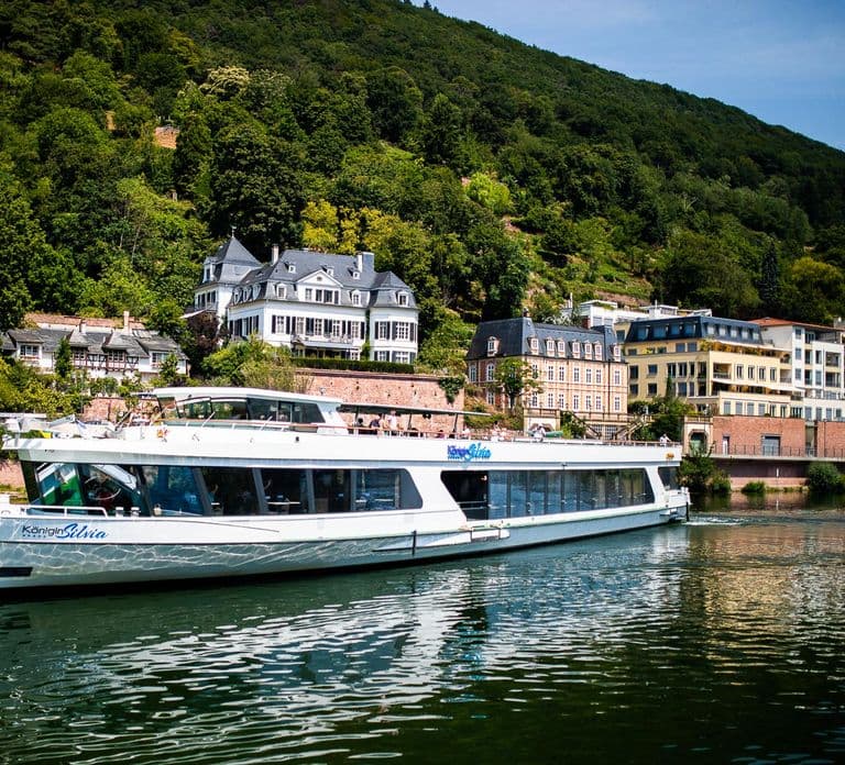 Heidelberg: Riverboat Tour to Neckarsteinach with Drinks