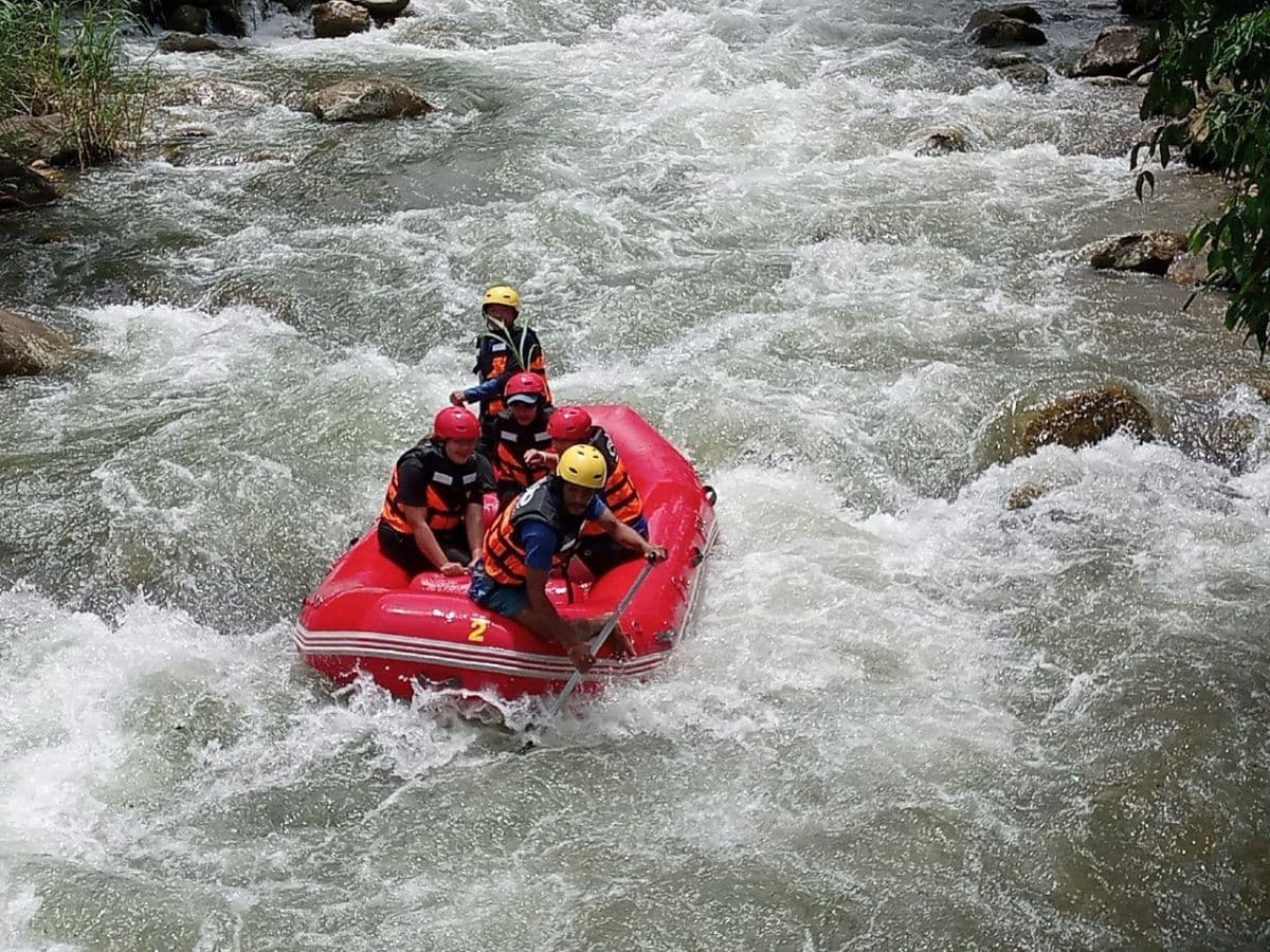 Join Tour White Water Rafting, Flying Fox, Jungle Walk, ATV Adventure and Elephant Trekking from Krabi
