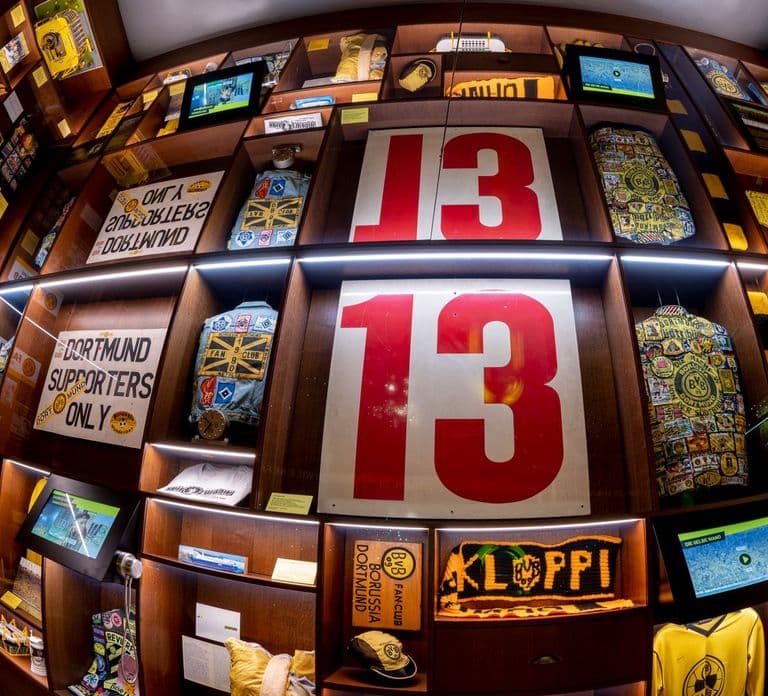 Dortmund: Biglietto d'ingresso al museo Borusseum del Borussia Dortmund