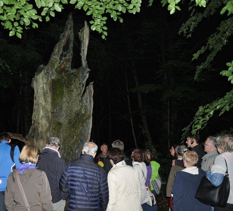Kassel: Kassel's lost city by night