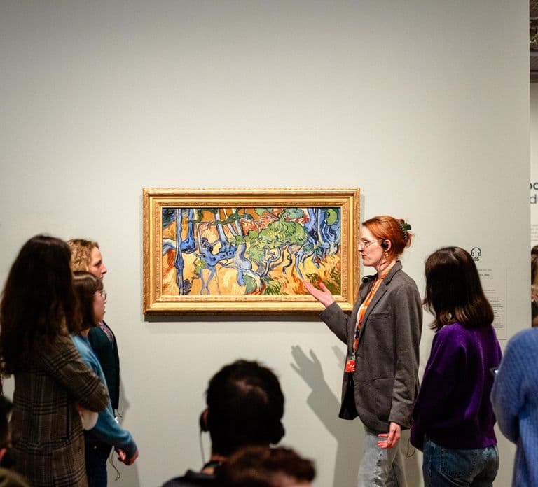 Amsterdam: Tour guidato del Van Gogh Museum
