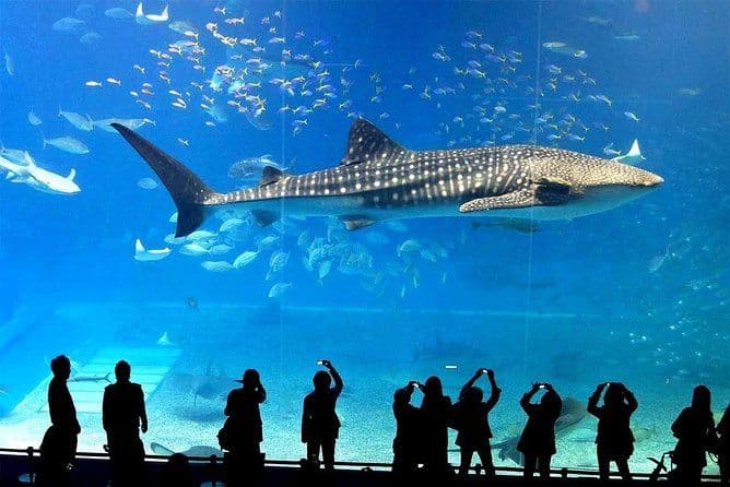 SeaLife Bangkok