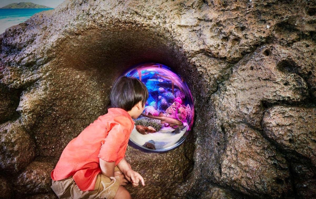 SeaLife Bangkok (Group Rate)