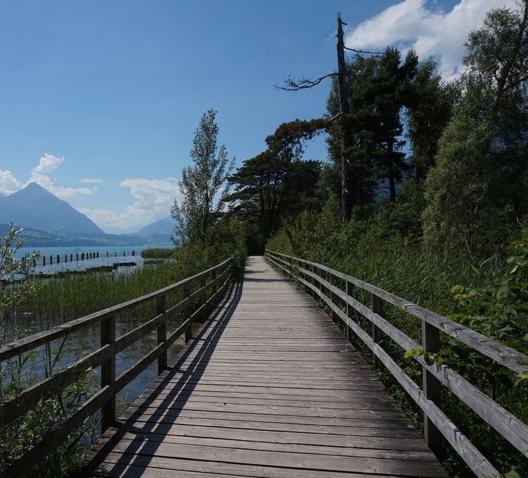 From Geneva: Full-Day Trip to Interlaken