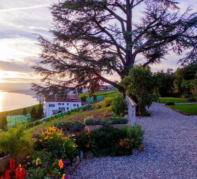From Geneva: Swiss Riviera Private Tour