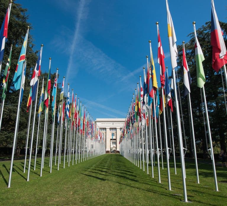 Geneva: Hop-on Hop-Off Bus & Scenic Mini-Train Tour