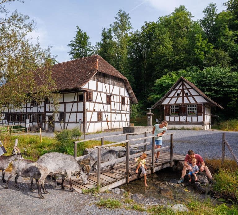 Interlaken: Ingresso para o Museu ao Ar Livre Ballenberg