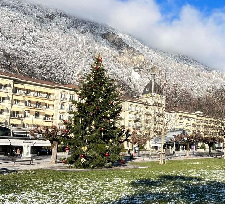 Interlaken: Explore Lauterbrunnen, Wengen & Raclette Tasting