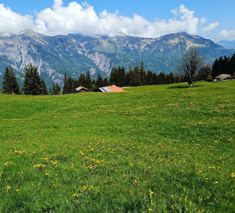 Interlaken: Highlights-Tour mit einem Einheimischen im Privatwagen
