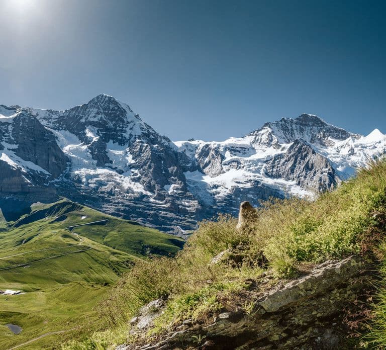 Jungfrau: Passe de Viagem de 3 a 8 Dias