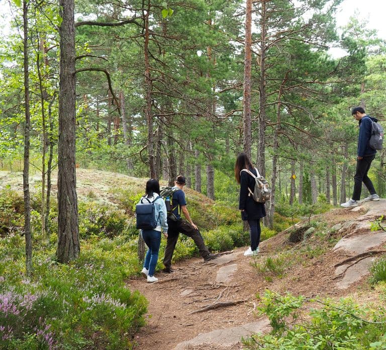 Vanuit Helsinki: Archipel-excursie in Porkkalaniemi