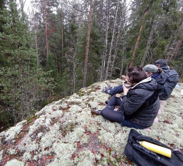 Vanuit Helsinki: Wandeltocht door Nationaal Park Nuuksio met eten
