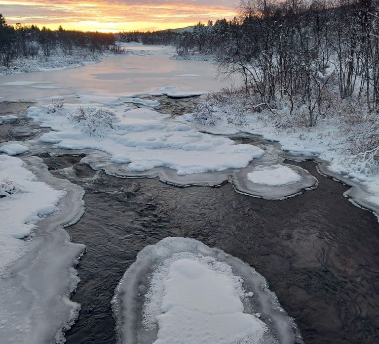 Muotkantunturi Reserve - Smoked salmon from Inari Lake and the Northern Lights