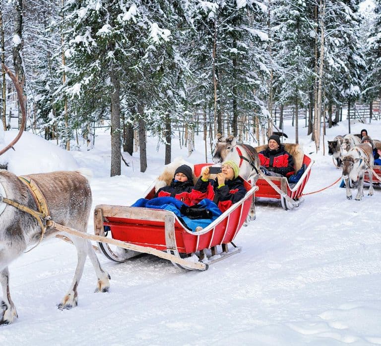 Rovaniemi: Autentyczna wizyta na farmie reniferów i przejażdżka saniami