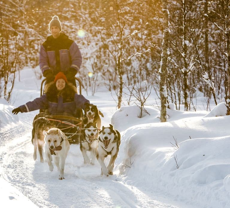 Rovaniemi: Daytime Husky Safari