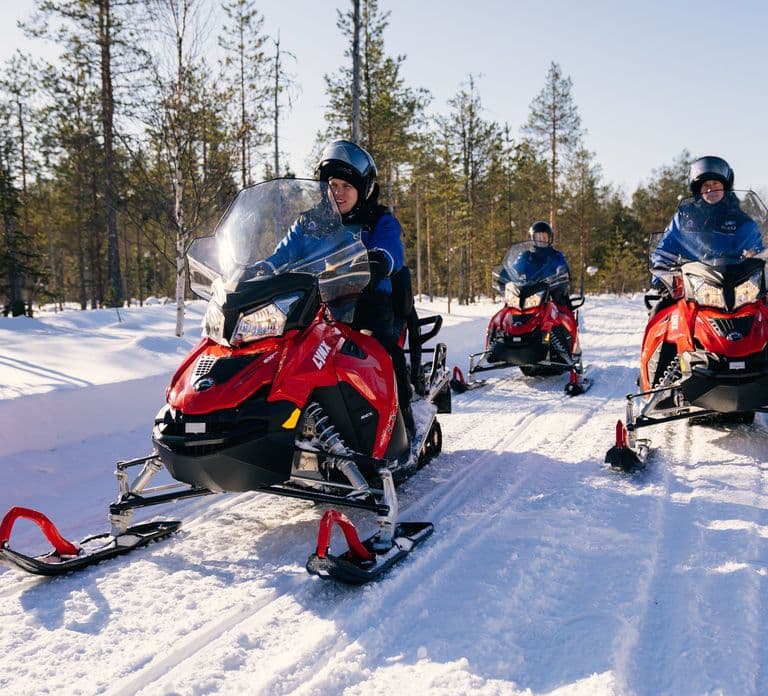 Rovaniemi: Snowmobile Safari into the Wilderness