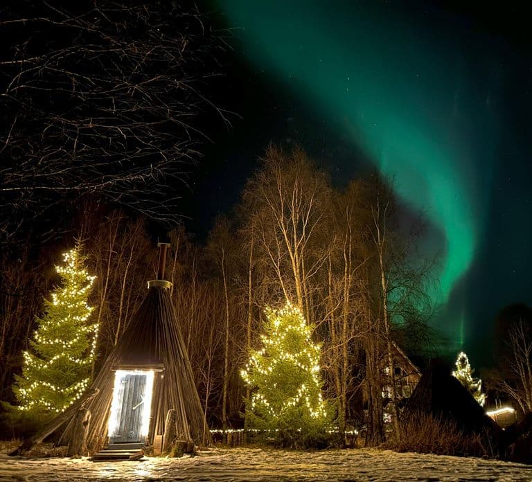 Rovaniemi:Northern Lights Small-Group Tour At Shaman Village