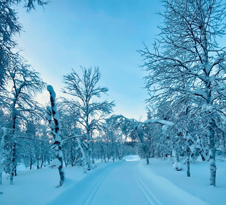 Saariselkä : Ski de fond pour débutants