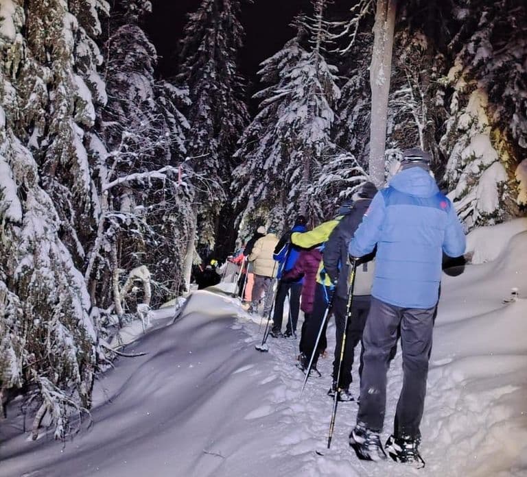 Vuokatti: Schneeschuh-Abenteuer unter Nordlichtern