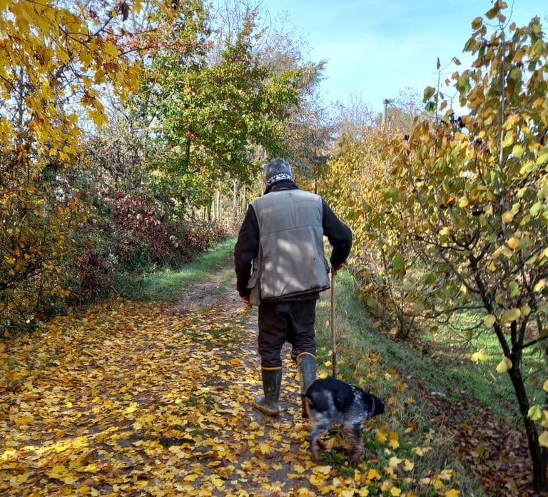 Langhe: Truffle Hunting Experience