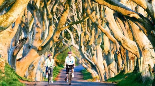 Vanuit Dublin: Giant's Causeway & Belfast Titanic inclusief ticket