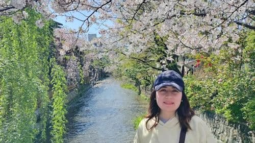 Kyoto: privétour op maat (wandelen/openbaar vervoer) Dagtours