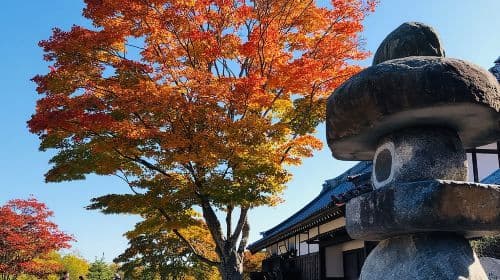 Pass giornaliero per i tour di un giorno a Noboribetsu Date Jidaimura