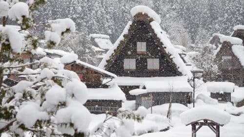 Jednodniowa wycieczka z Nagoya | Wizyta w wpisanych na listę światowego dziedzictwa UNESCO Hida Takayama i wiosce Shirakawa-go Gassho
