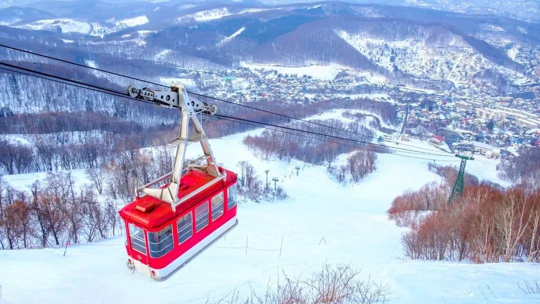 1-day tour to Sapporo International Ski Resort in Hokkaido, Japan, beginner and advanced ski slopes, optional coach package