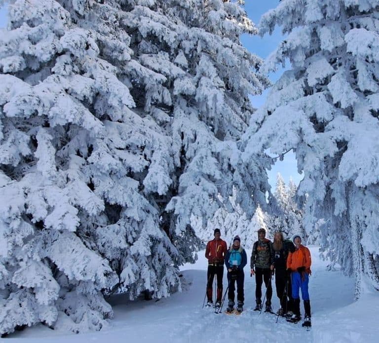 Ehrwald: Zugspitze Snowshoe Hiking Tour with Mountain Views