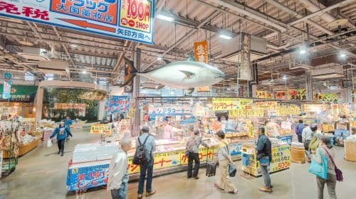 Jednodniowa wycieczka do Shirahama w prefekturze Wakayama z atrakcjami w stylu „Detektywa Conana”, obejmująca przejazd pociągiem do stacji Kishi oraz wizytę w Senjojiki