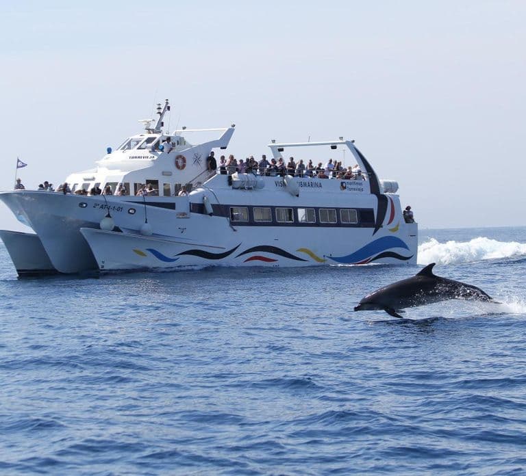 Torrevieja: Excursion to Tabarca by boat and underwater viewing