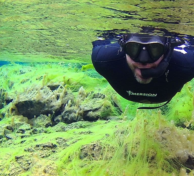 Thingvellir: Silfra Freedive Avontuur met een Gids