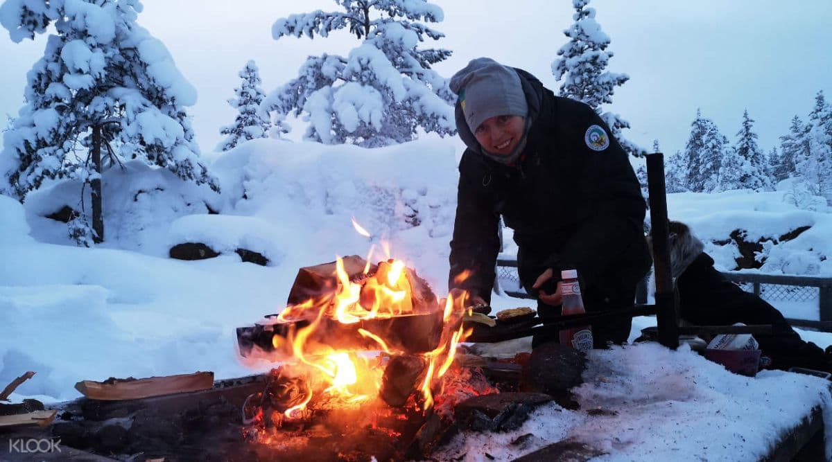 Storforsen Nature Reserve Tour from Lulea