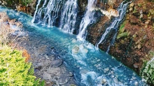 Hokkaido Asahiyama Zoo + Shirogane Blue Pond (Aoiike) + Shirahige Waterfall + Ningle Terrace 1일 투어 데이 투어